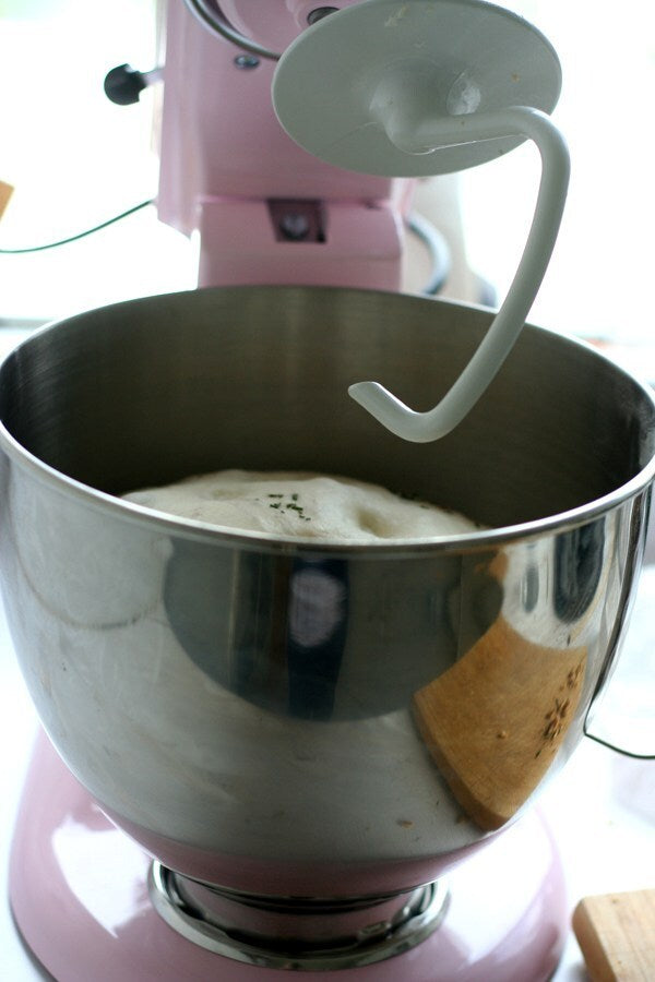 Involved Kitchenaid Mixer Dough Hook