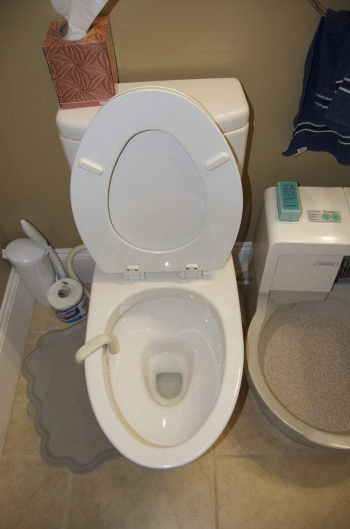 Outstanding Cat Genie Reviews