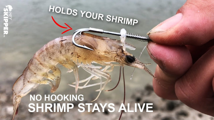 GENIUS OR GARBAGE? Specialty Live Shrimp Holder Hooks! by Hey Skipper (1 year ago)