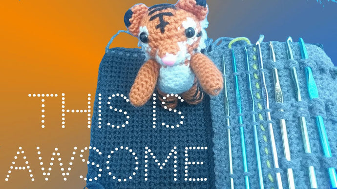 Crochet Hook Case | Learn to Crochet for Beginners by Patchwork Productionz (1 year ago)