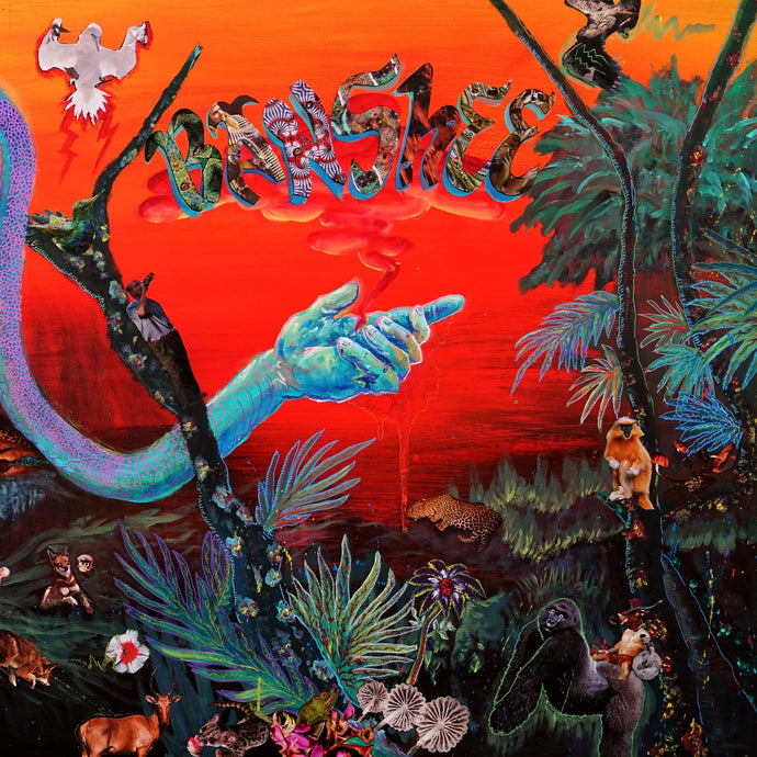 On Livin’ In The Jungle, Banshee’s brand of tribal psychedelia seems to have lifted off into another realm