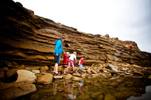 See Anemones! 8 San Diego Tide Pools to Explore with Kids