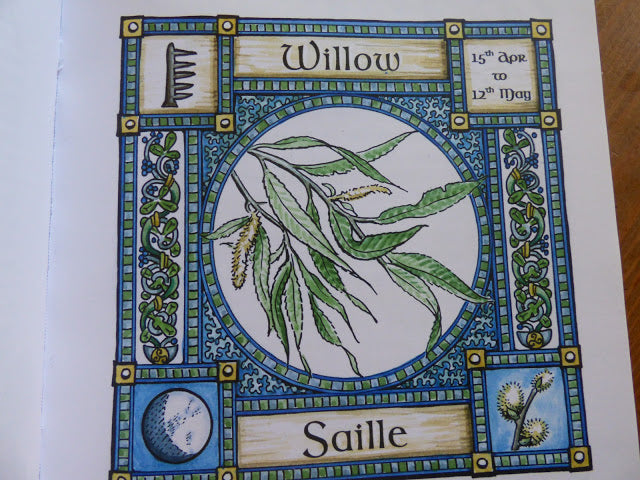 Willow Trees Leading to Memories