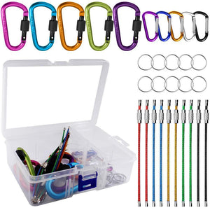 YuCool 10 Pack Aluminum D-Ring Carabiners, D Shape Keychain Clips Hook Spring-Loaded for Camping Hiking Fishing, with 10 Stainless Steel Wire Keychains, 10 Key Rings - Multi-Color