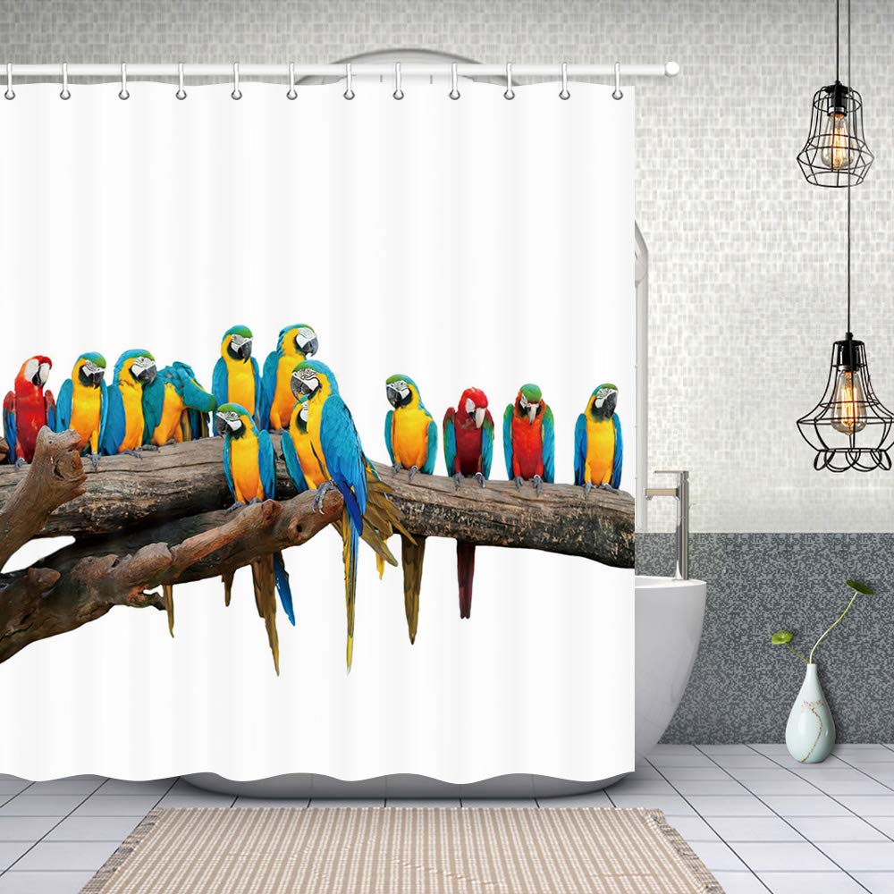 NYMB Parrots Family on Tree Bath Curtain, Polyester Fabric Waterproof Colorful Tropical Bird Parrot on Wooden Branch Shower Curtain, 69X70in, Shower Curtains Hooks Included, Blue Green Yellow(Multi2)