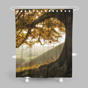 Shower Curtain autumn fall scene beautiful autumnal park beauty nature scene autumn trees and leaves foggy Prints Bathroom Decor Set with Hooks Forest Tree Graphics Shower Curtain Liner 54x78 Inches