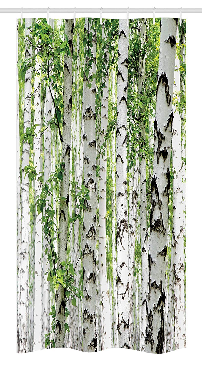 Ambesonne Woodland Stall Shower Curtain, Birch Trees in The Forest Summertime Wildlife Nature Outdoors Themed Picture, Fabric Bathroom Decor Set with Hooks, 36