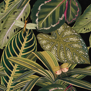 Amazonia Wallpaper in Black and Green from the Rediscovered Paradise Collection by Mind the Gap