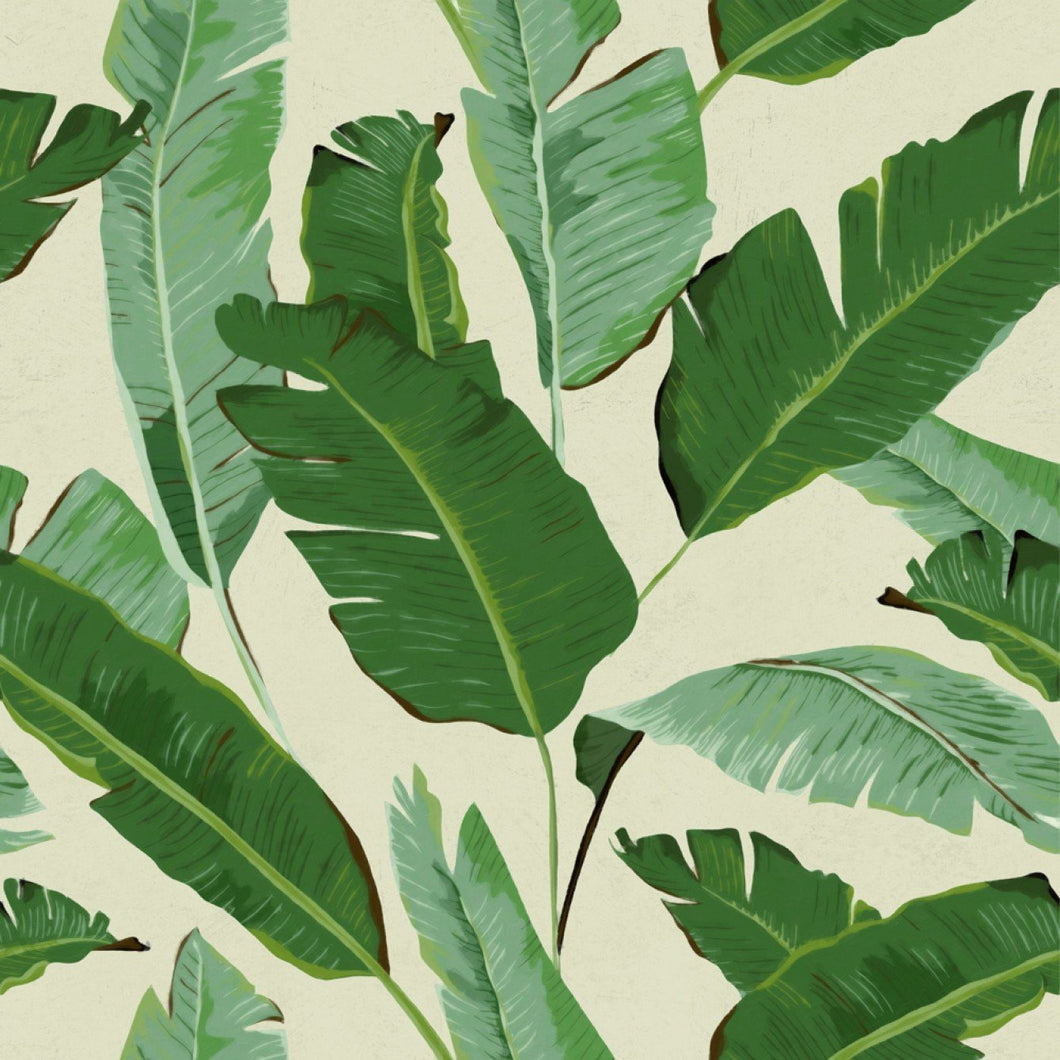 Banana Leaves Wallpaper in Beige and Green from the Tropical Vibes Collection by Mind the Gap